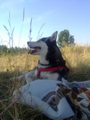 Прикачена снимка