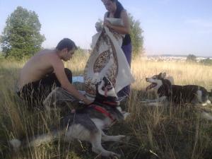Прикачена снимка