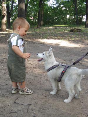 Прикачена снимка