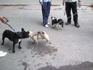 Прикачена снимка