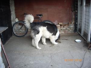 Прикачена снимка