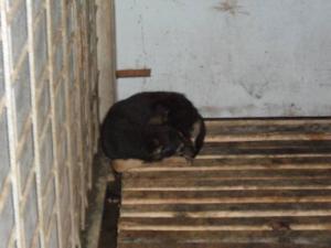 Прикачена снимка