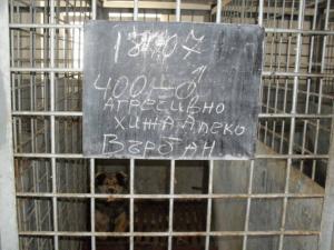 Прикачена снимка