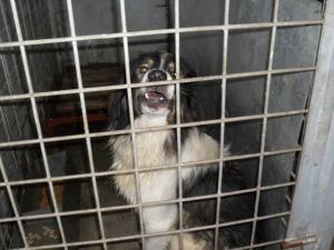 Прикачена снимка