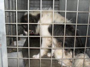 Прикачена снимка