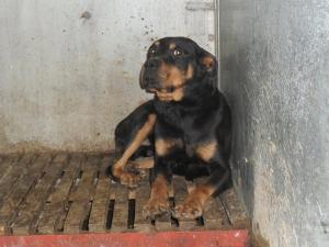Прикачена снимка