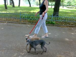 Прикачена снимка