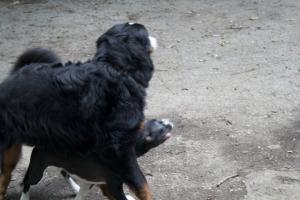 Прикачена снимка