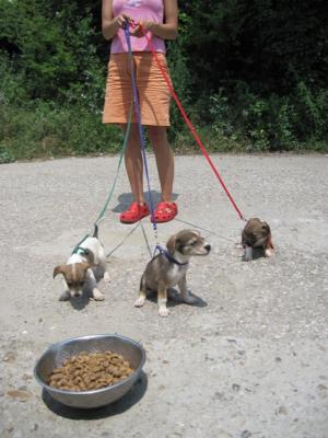 Прикачена снимка