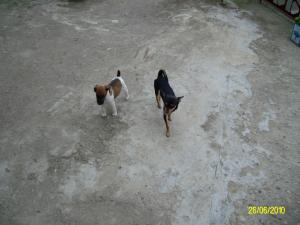 Прикачена снимка