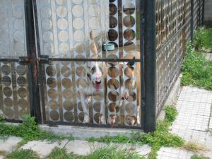 Прикачена снимка