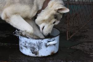 Прикачена снимка