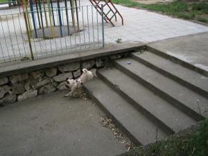 Прикачена снимка