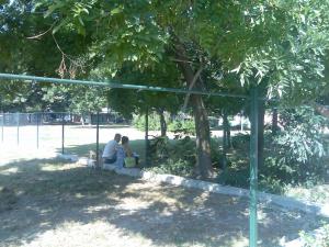 Прикачена снимка