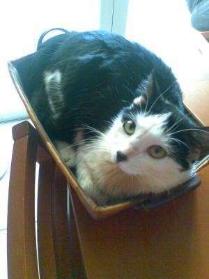 Прикачена снимка
