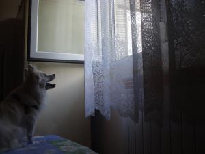 Прикачена снимка