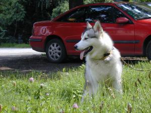 Прикачена снимка