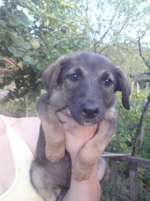Прикачена снимка