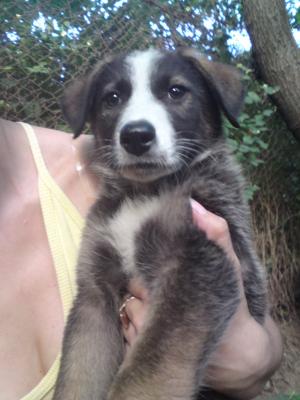 Прикачена снимка