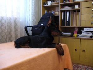 Прикачена снимка