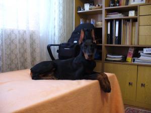 Прикачена снимка