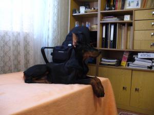 Прикачена снимка