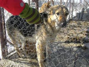 Прикачена снимка