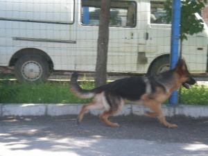 Прикачена снимка