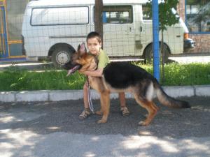 Прикачена снимка