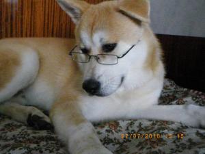Прикачена снимка