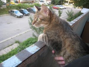 Прикачена снимка