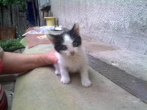 Прикачена снимка