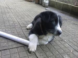 Прикачена снимка