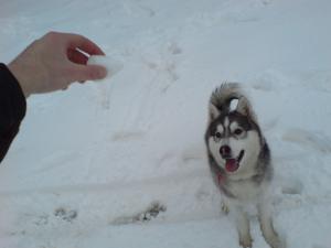 Прикачена снимка