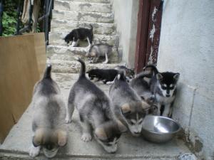 Прикачена снимка