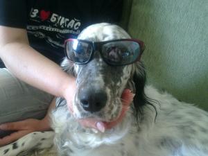 Прикачена снимка