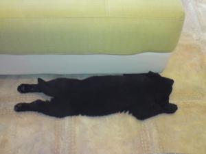 Прикачена снимка