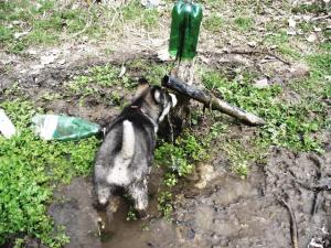 Прикачена снимка