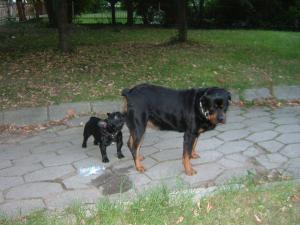 Прикачена снимка