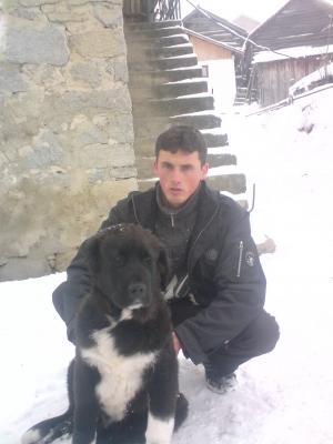 Прикачена снимка
