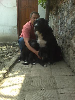 Прикачена снимка
