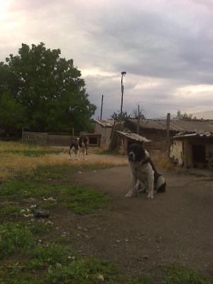 Прикачена снимка