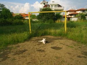 Прикачена снимка