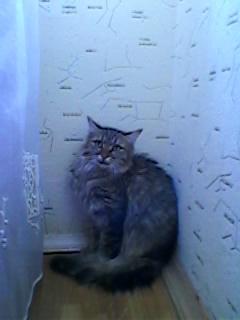 Прикачена снимка