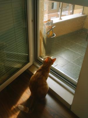 Прикачена снимка