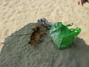 Прикачена снимка