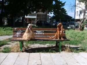 Прикачена снимка