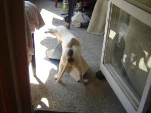 Прикачена снимка