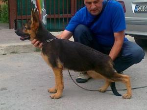 Прикачена снимка