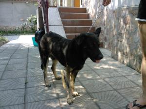 Прикачена снимка